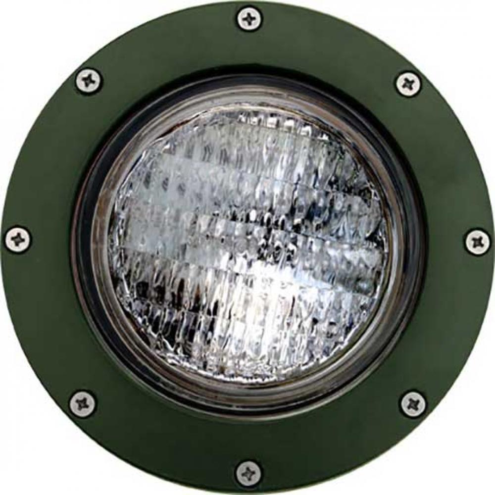 WELL LIGHT W/O GRILL W/SLV 6W LED PAR36 12V