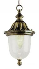 Trans Globe 4185 WH - 1LT HANGING LANTERN WH