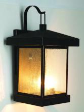 Trans Globe 45642 WB - Santa Cruz 18" Wall Lantern